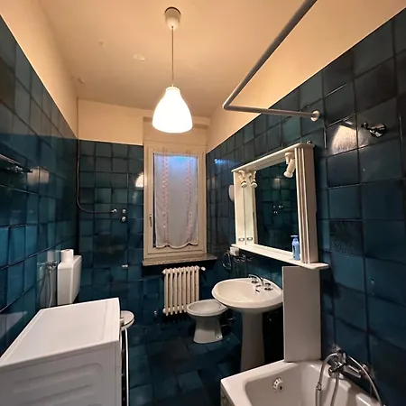 Orchidea Bianca Gattico