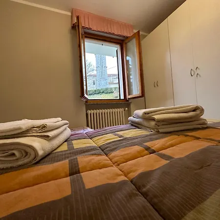 Orchidea Bianca Gattico